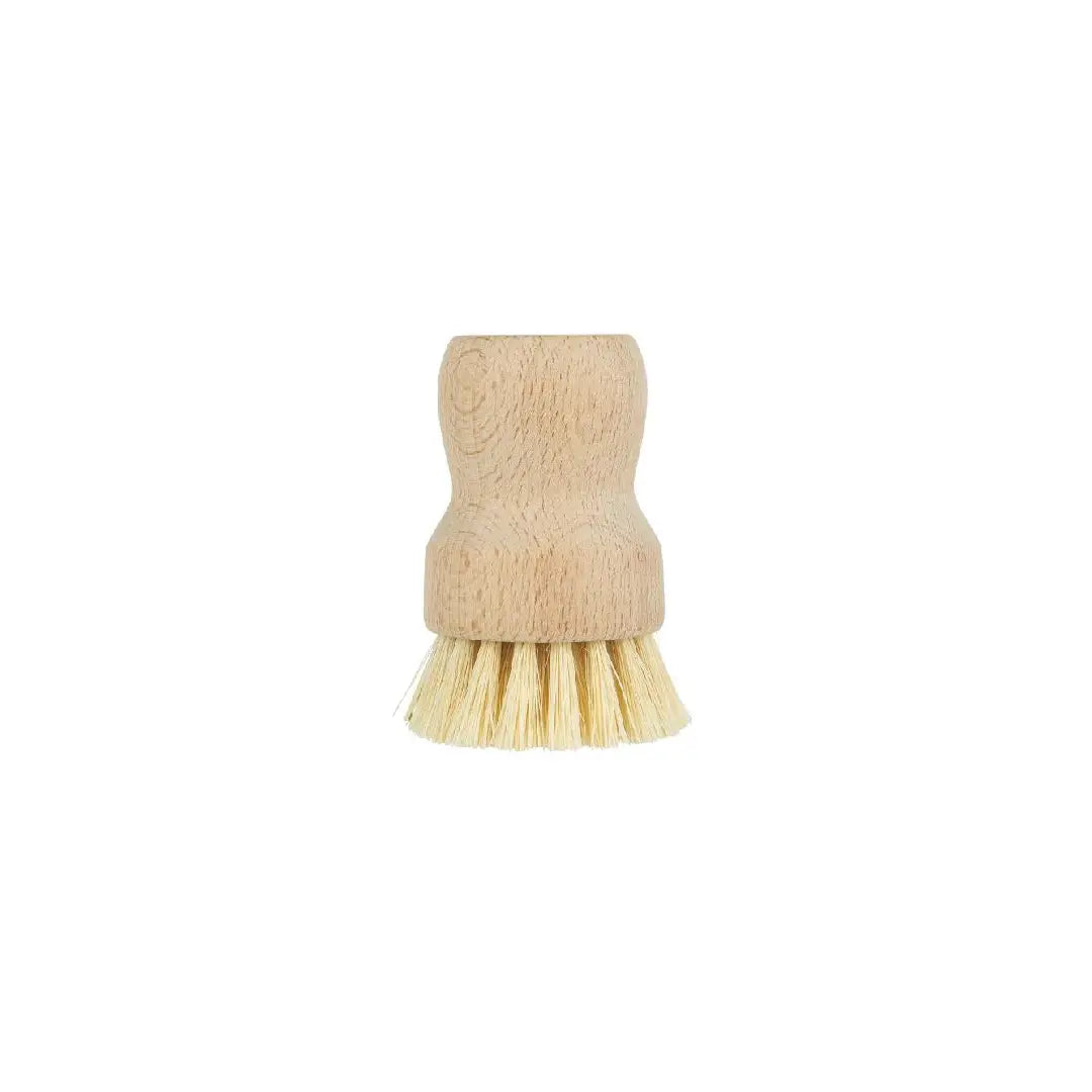 Deze borstel hoort minimaal één keer aanwezig te zijn in ieder huishouden, toch? Handborstel om bijvoorbeeld de aardappels mee schoon te maken.
